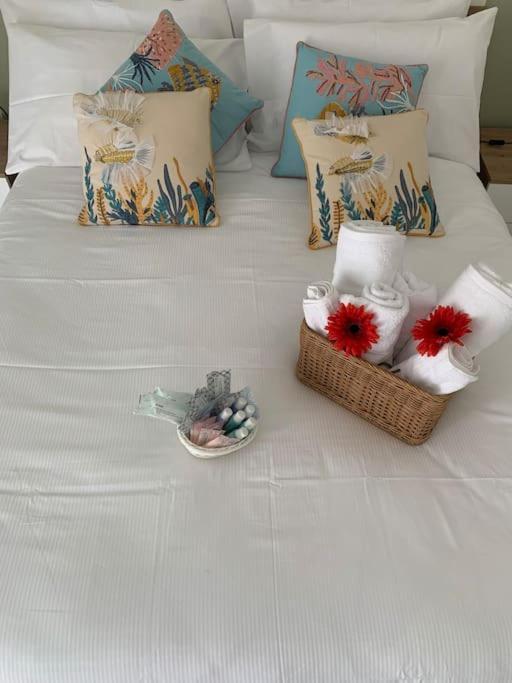 Casa - Torre Dell'Orologio Apartment Canosa di Puglia Luaran gambar